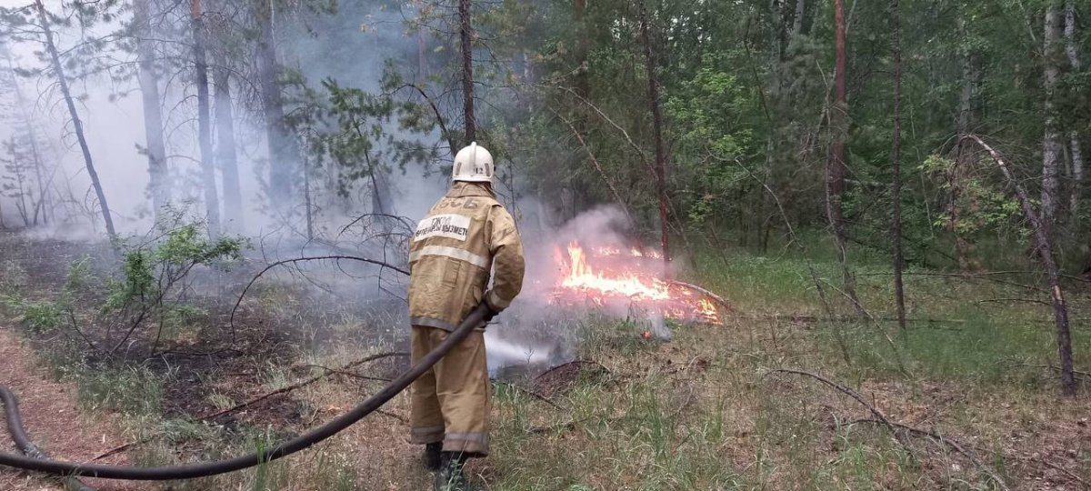 Семьям, пострадавшим от пожаров в области Абай, окажут социальную помощь