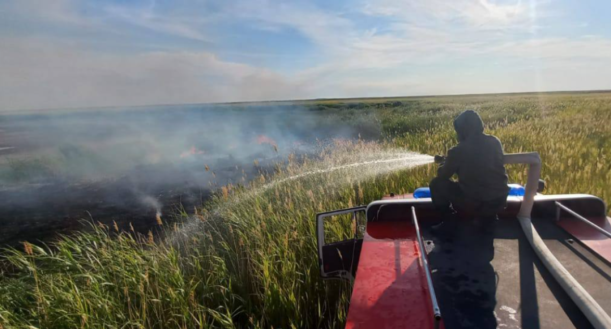 Возгорание камыша в области Абай полностью ликвидировано