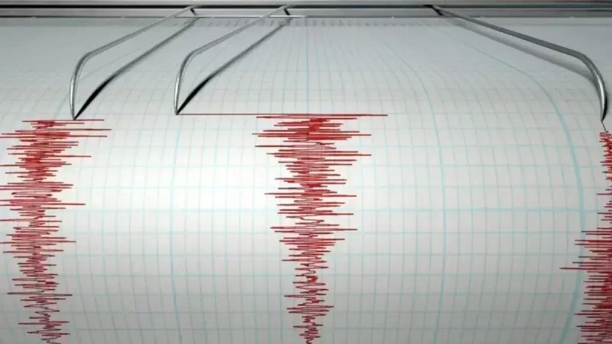 Землетрясение почувствовали жители Жамбылской области