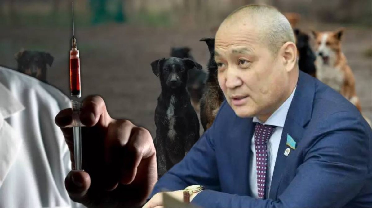 Сталинский подход и убийство животных: эксперты выступили против поправок депутата Жанбыршина