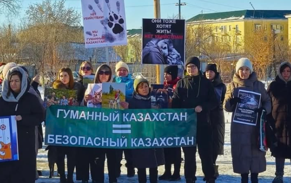 В Караганде и Аркалыке прошли митинги в защиту животных