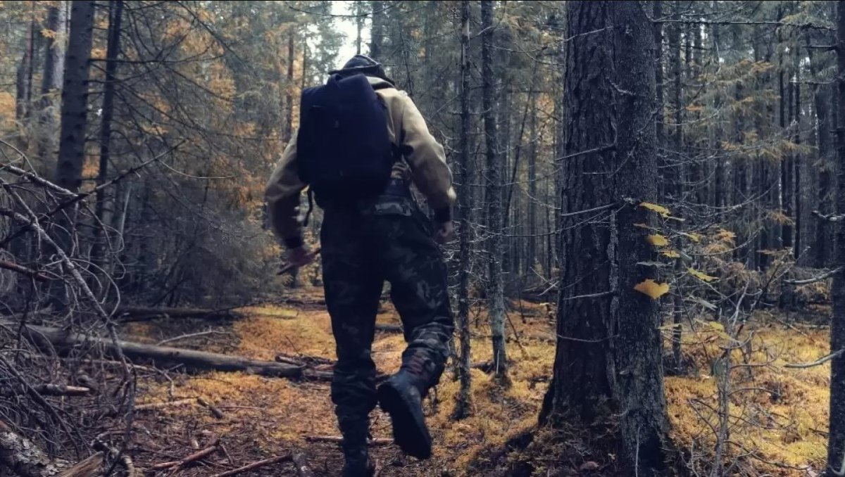 Повысили статус, но не всем: лесники в Акмолинской области остались без зарплат на два месяца