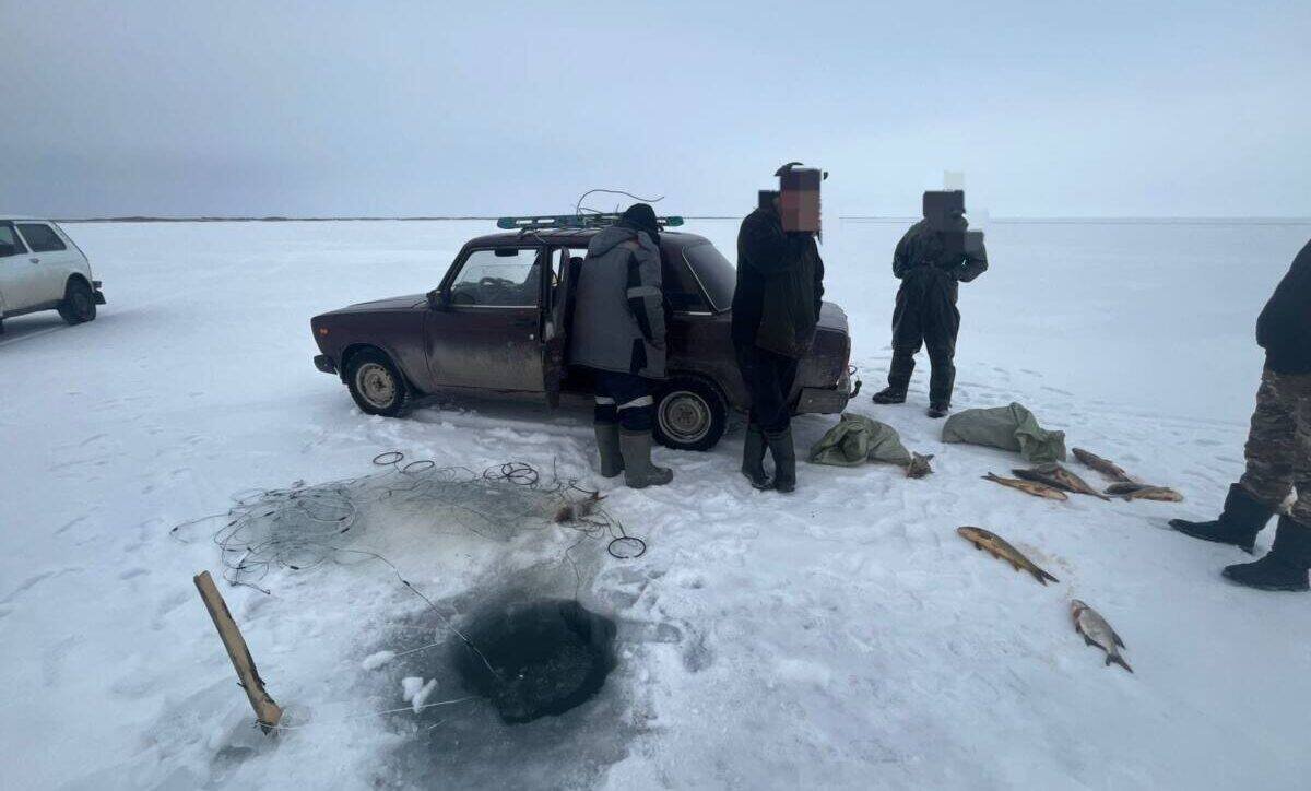 В Карагандинской области поймали рыбаков с сетями и уловом на миллион тенге