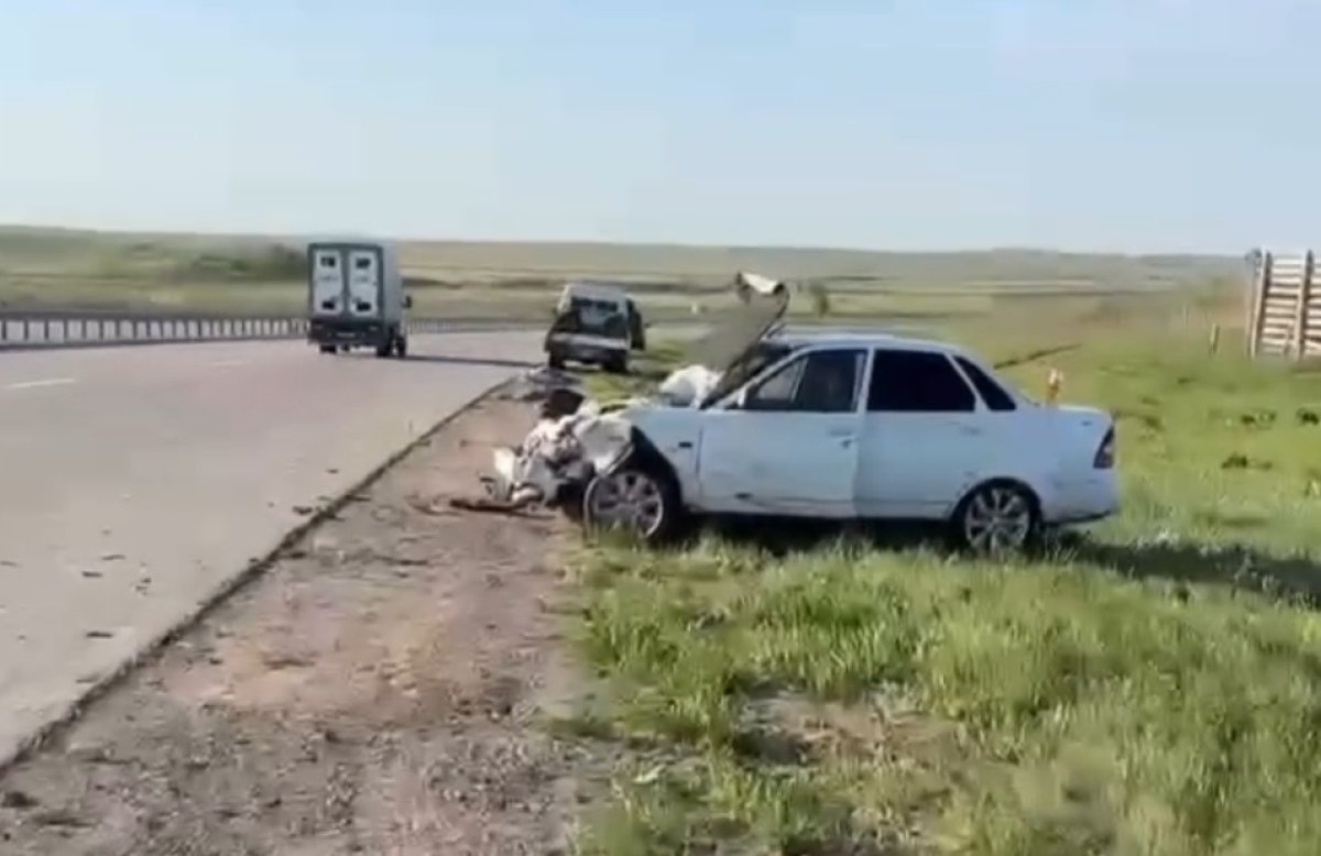 Жуткие кадры столкновения авто со стадом сайгаков шокировали казахстанцев