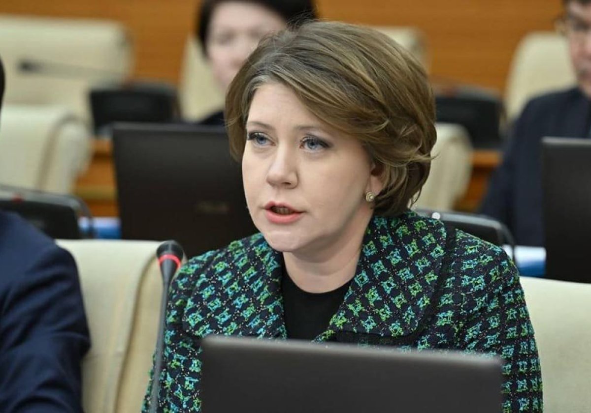 Цены, безработица, доходы: депутат заявила о ложной статистике в Казахстане