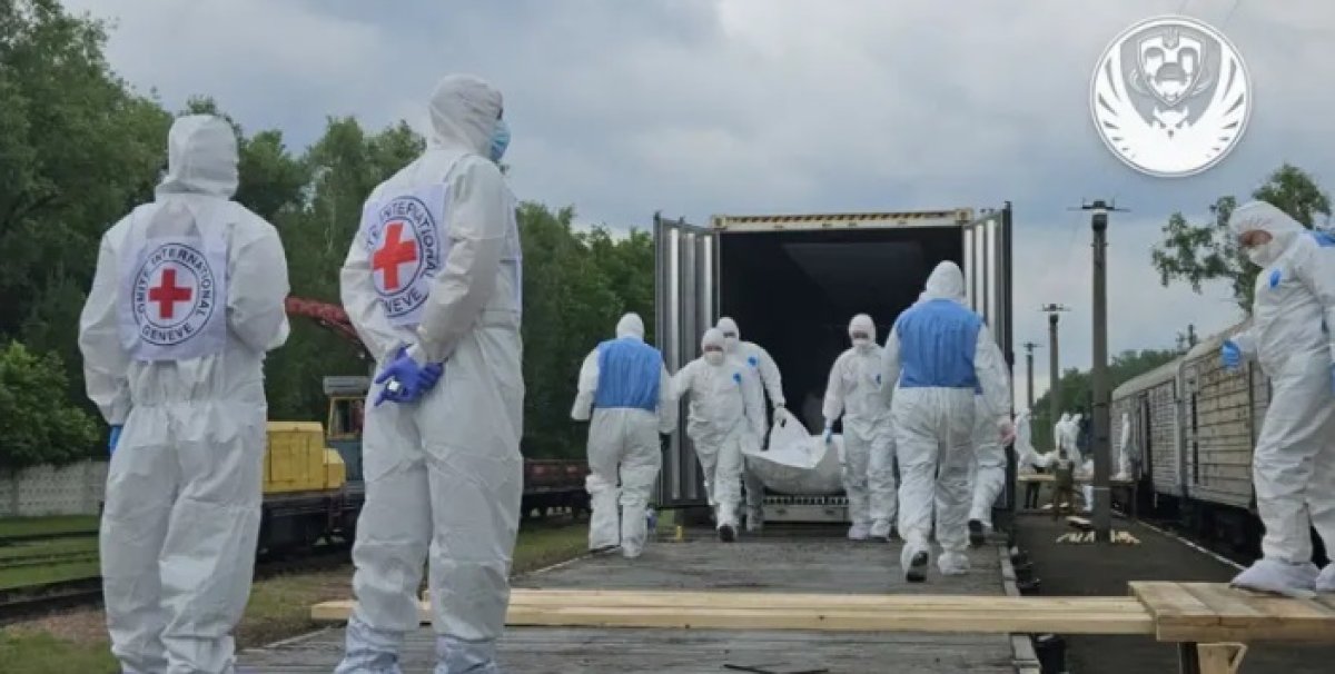 Еще 1200 тел погибших Россия передала Украине