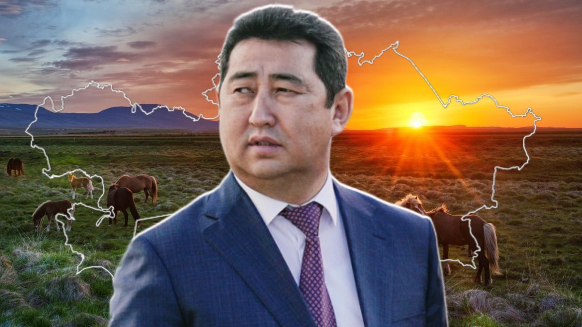 Степь бескрайняя, а скот пасти негде: почему Минсельхоз Казахстана не может навести порядок с пастбищами