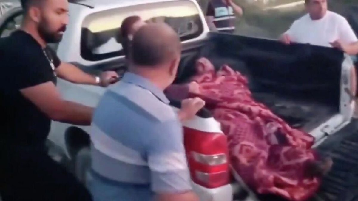 Лев вырвался из клетки и напал на человека в Анталье: хищника ищут с дронами
