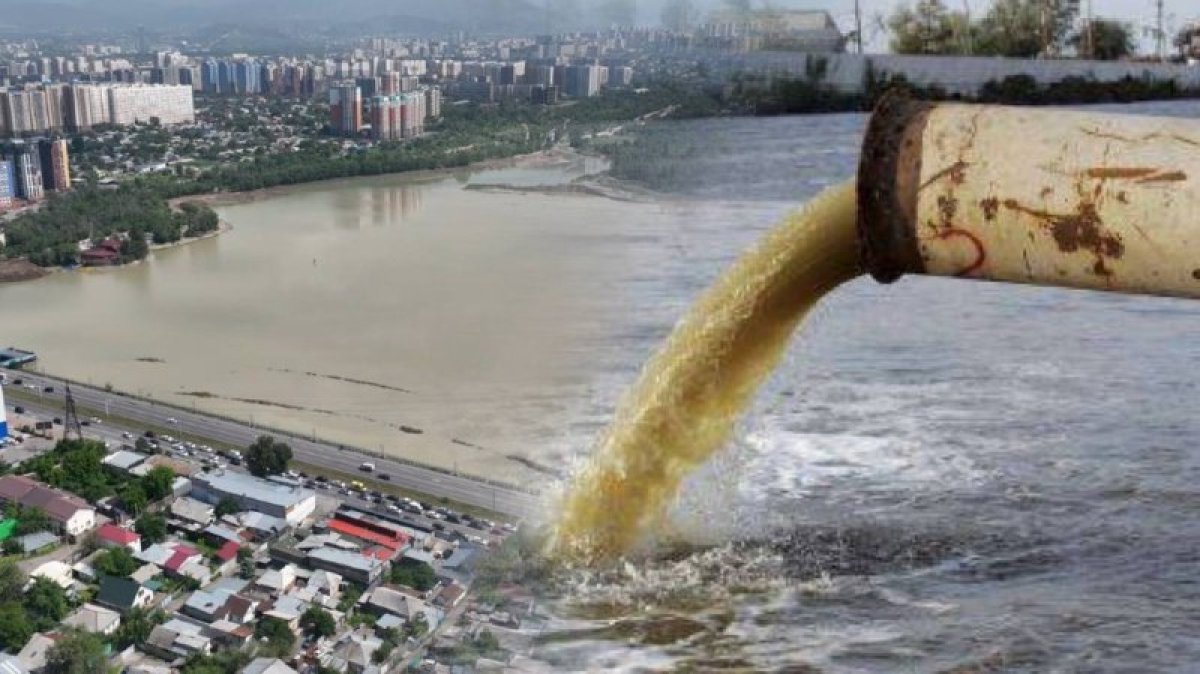 В Сайран по Большой Алматинке попадают нечистоты? Водное ведомство не в курсе, но обещает выяснить