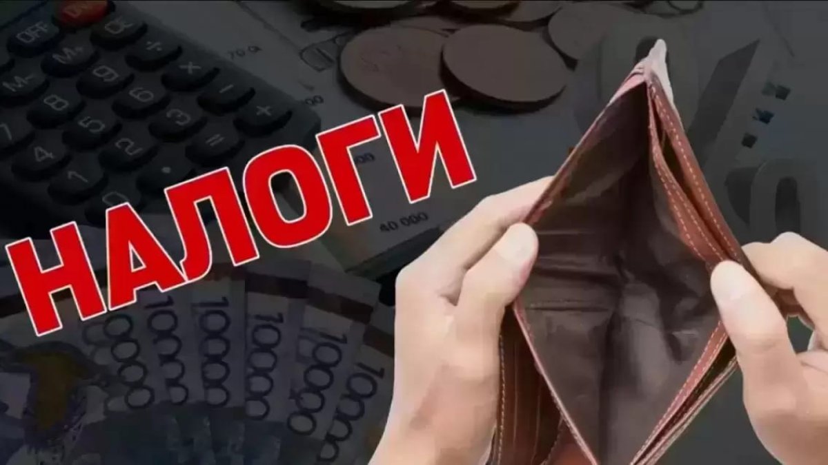 Кого из казахстанцев в числе первых проверит налоговая, рассказал эксперт