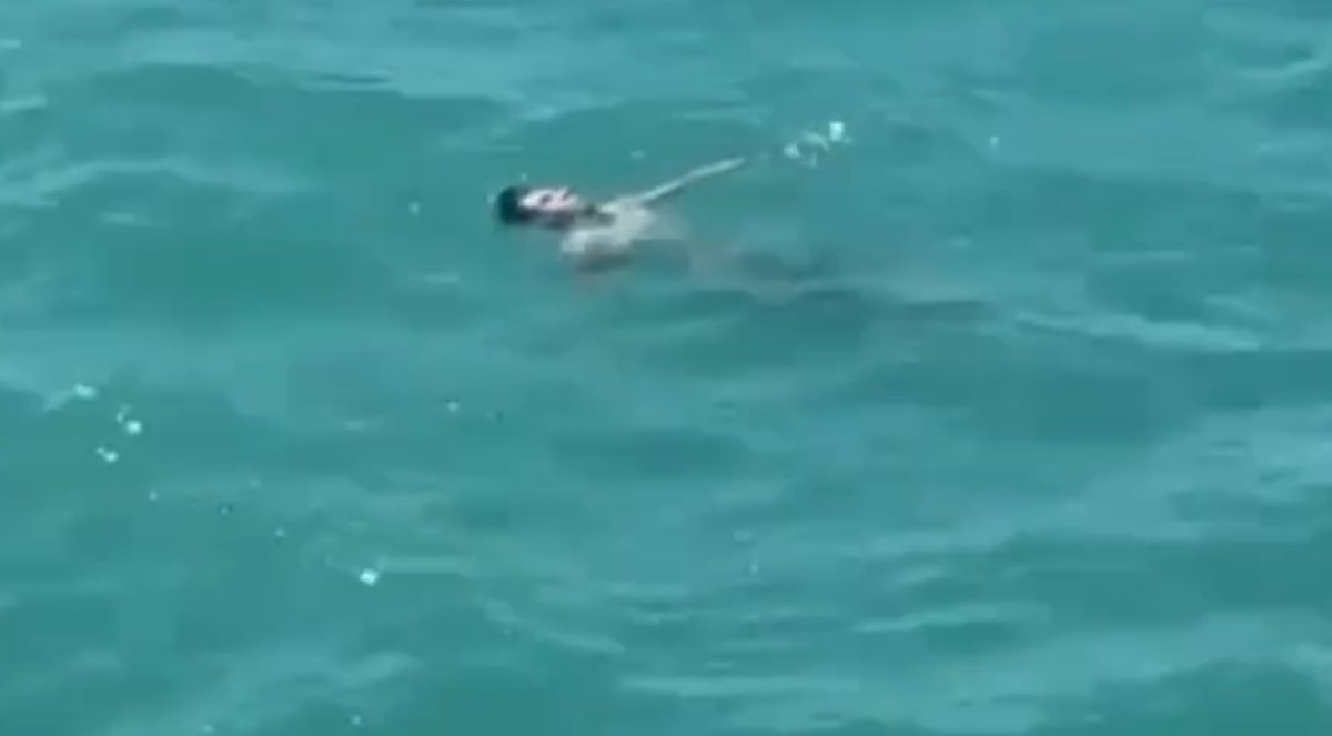 Трагедия на Алаколе попала на видео