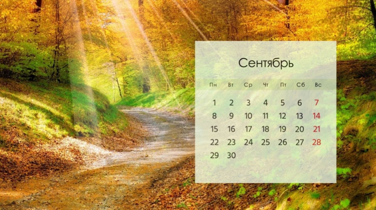 Что изменится в жизни казахстанцев с сентября