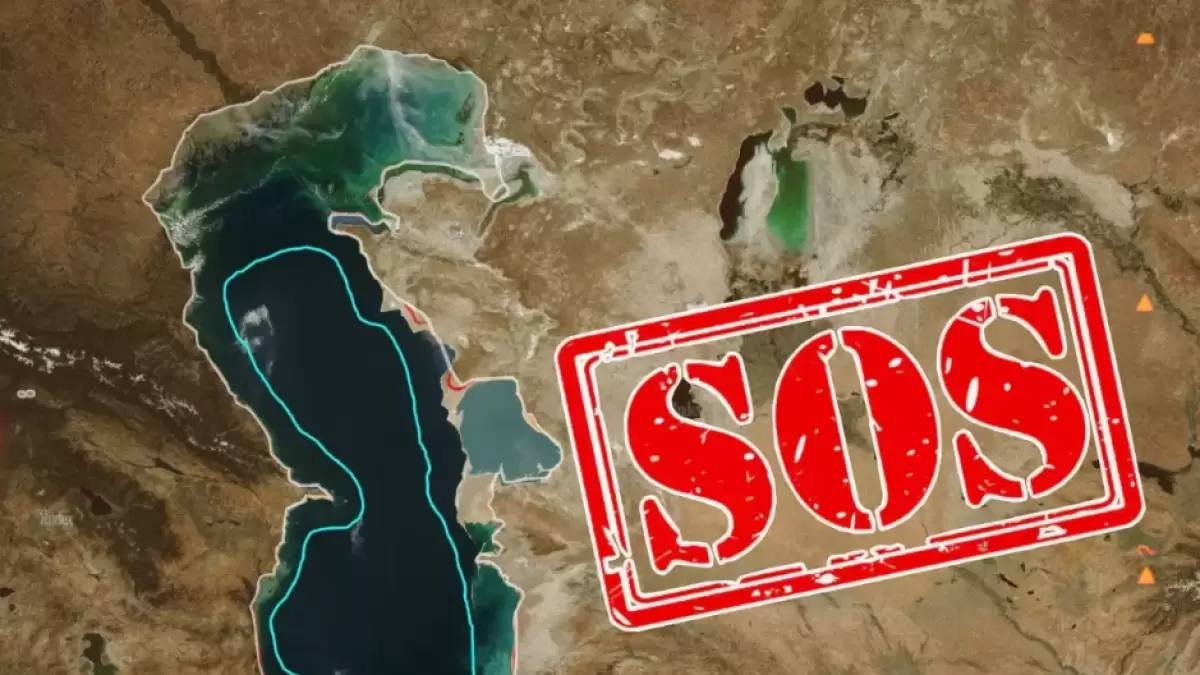 Как опустился уровень Каспийского моря за четыре года