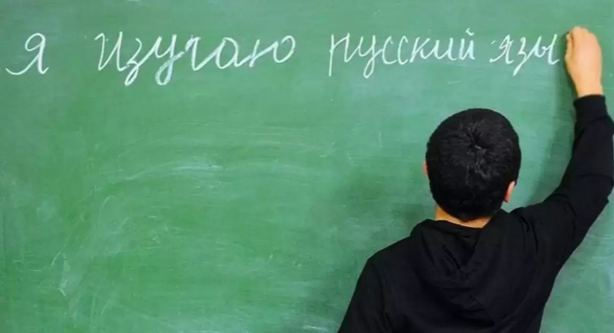 Россия признает перегибы с русским языком