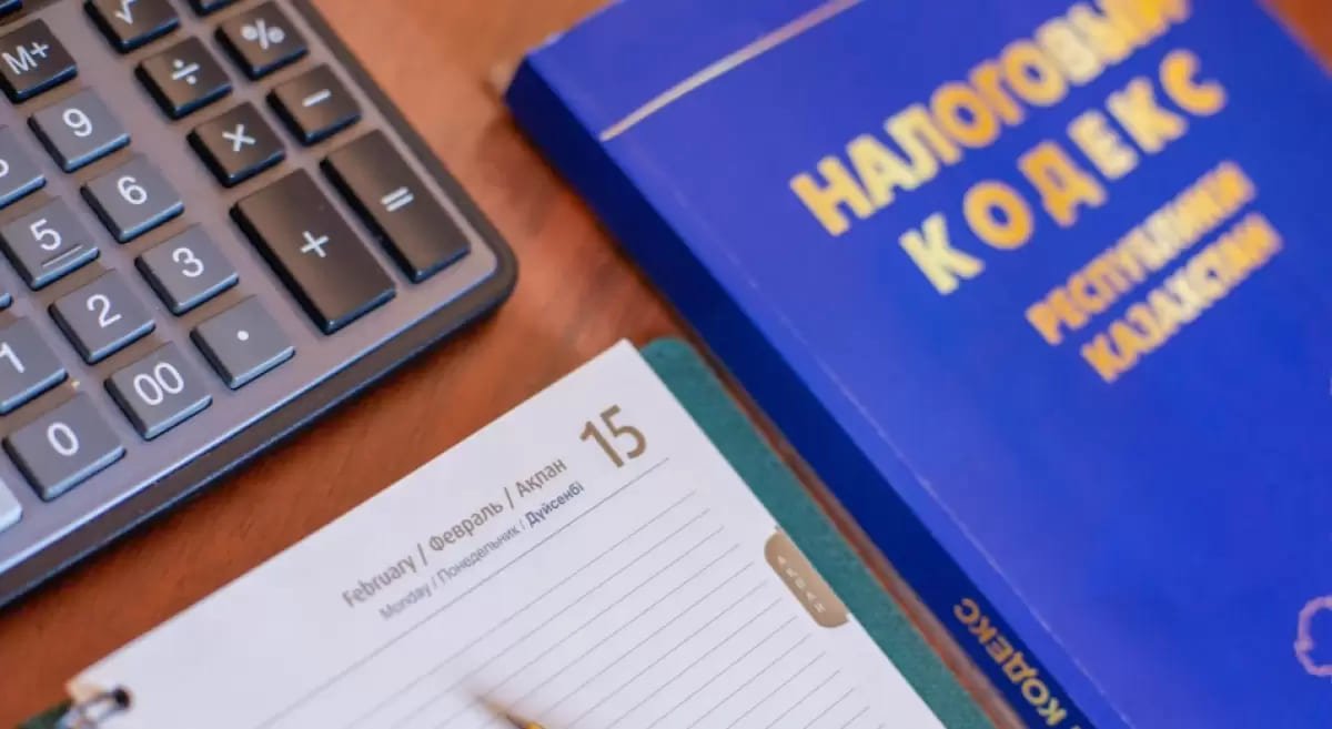 Отмены налоговых проверок удалось добиться в Казахстане