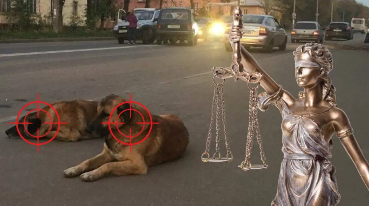 Эксперты просят наложить вето на законопроект по отлову животных в Казахстане