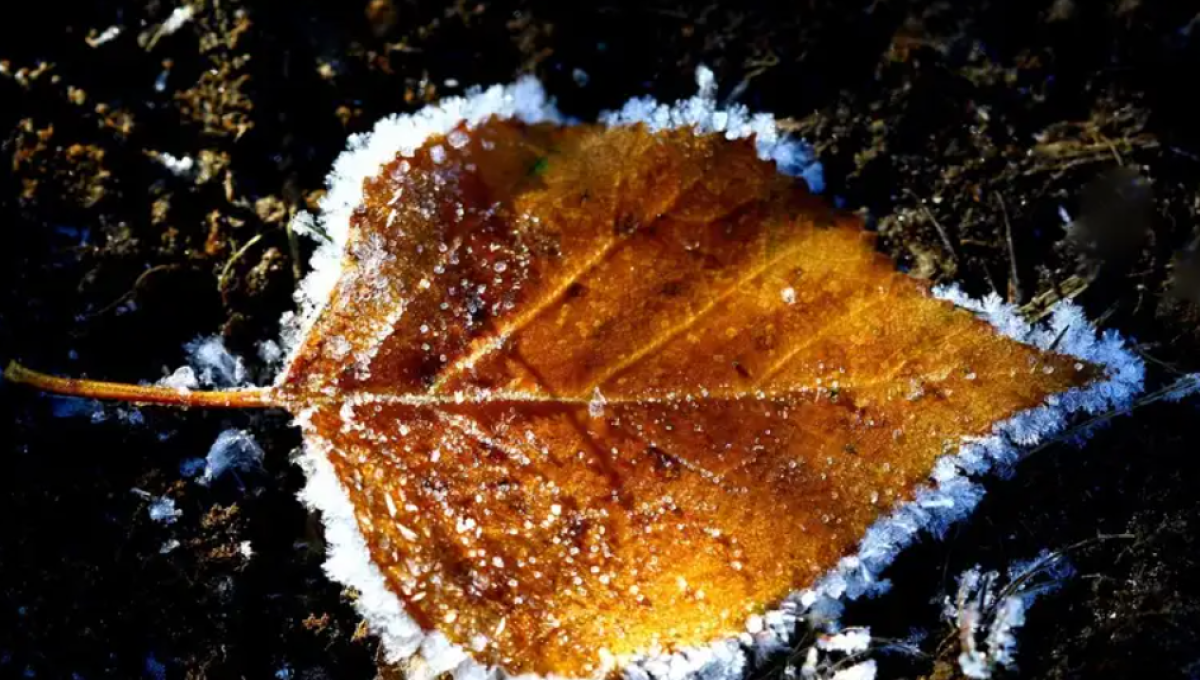 В 14 регионах Казахстана объявили штормовое предупреждение