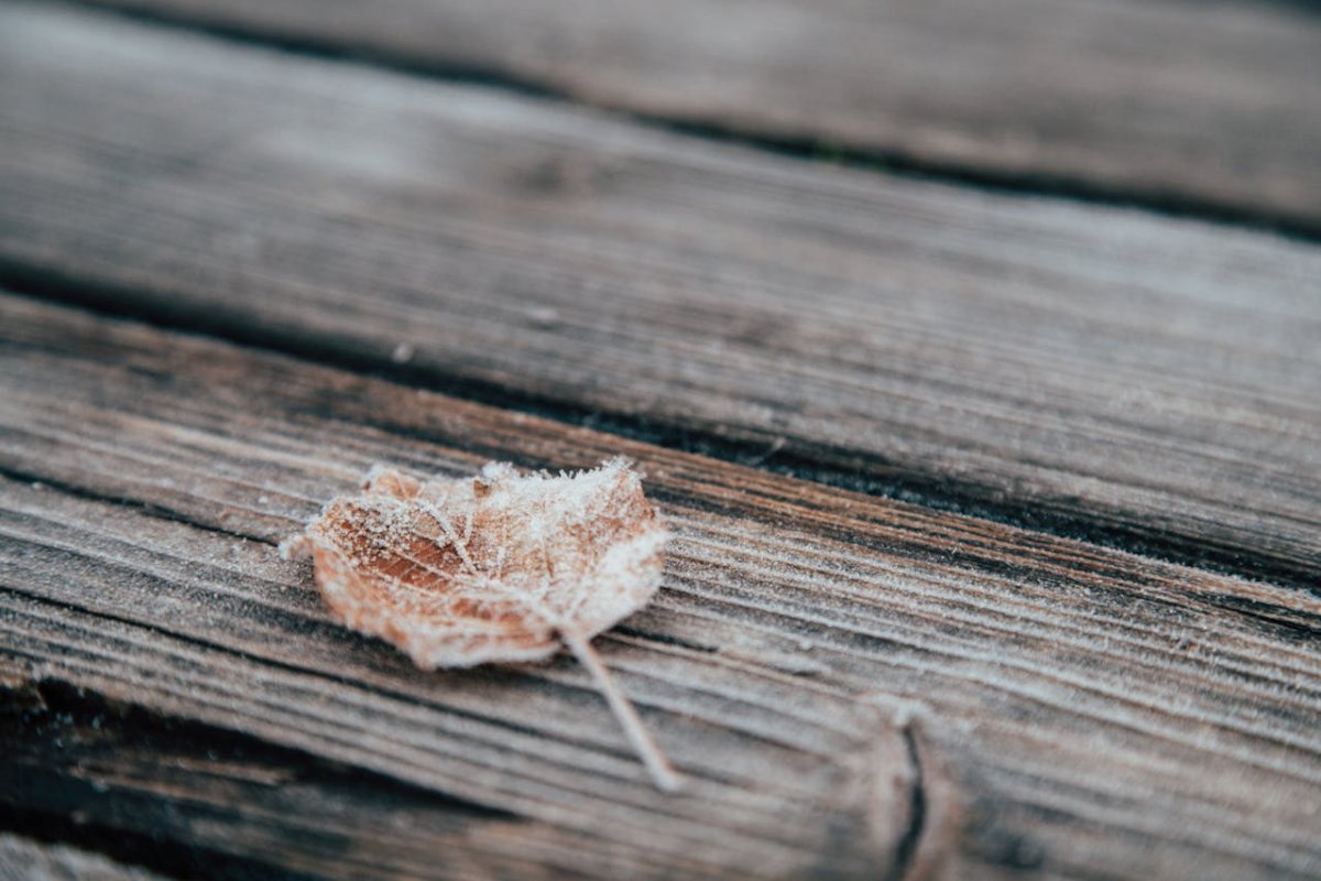 Сильный ветер и заморозки: в каких регионах объявлено штормовое предупреждение