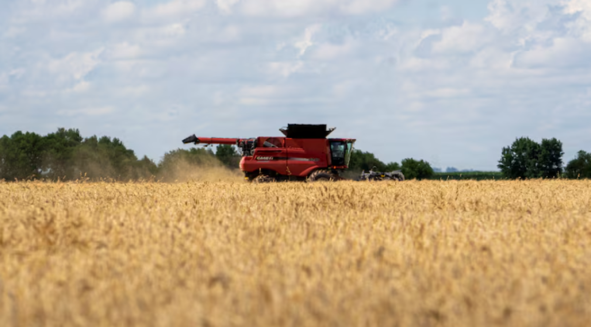 Китай начал ограниченные закупки американской сельхозпродукции