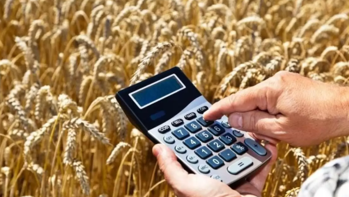 Токаев поручил активнее привлекать инвесторов в сельскохозяйственную отрасль