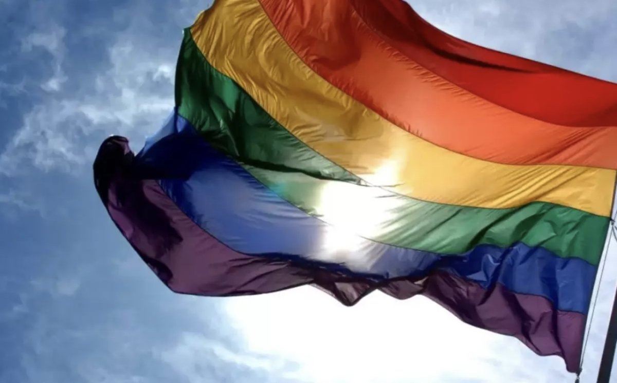 Запрет пропаганды ЛГБТ: где правовая загвоздка? Мнение юриста