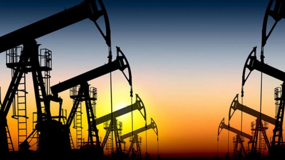 Депутаты переписали законопроект о недрах: в документ на 32 пункта внесли 90 правок