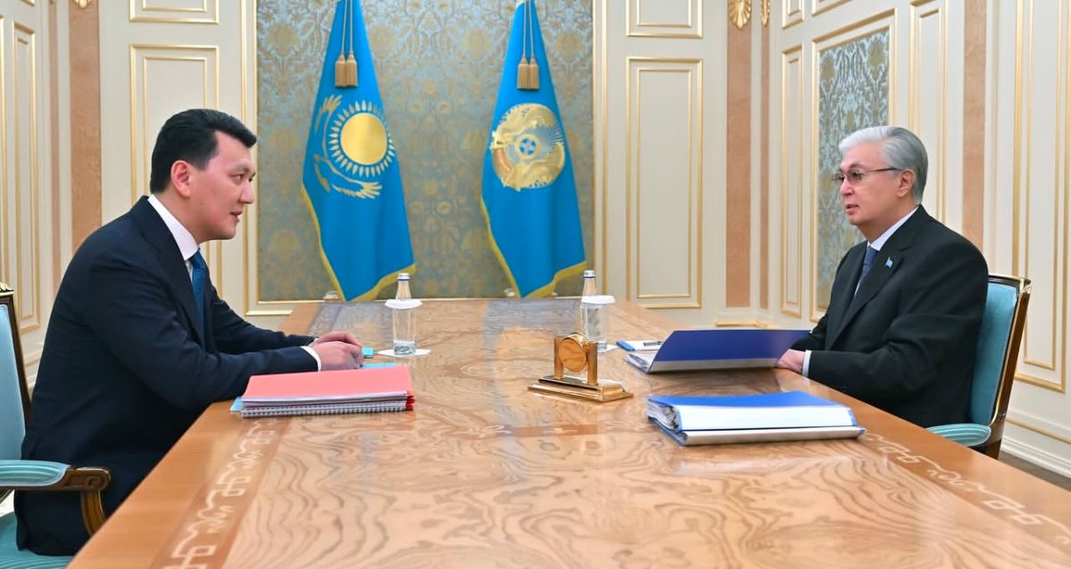 Карин отчитался перед Токаевым