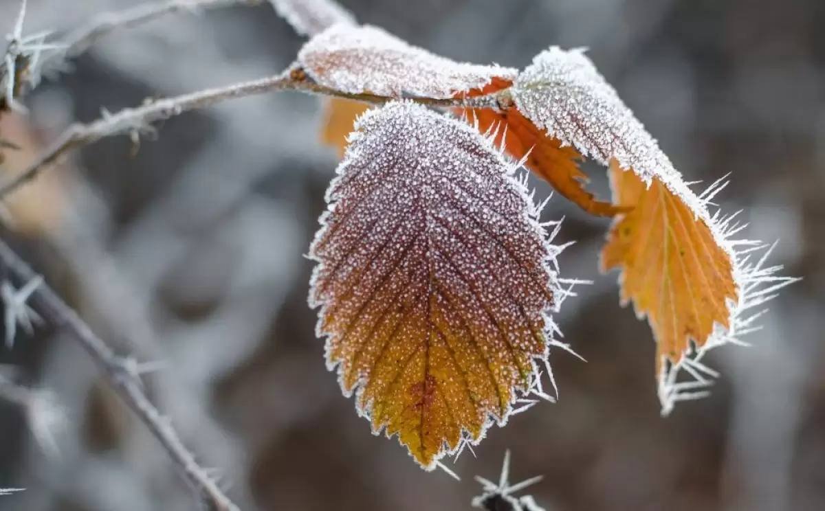 Какая погода будет 23 ноября в Казахстане
