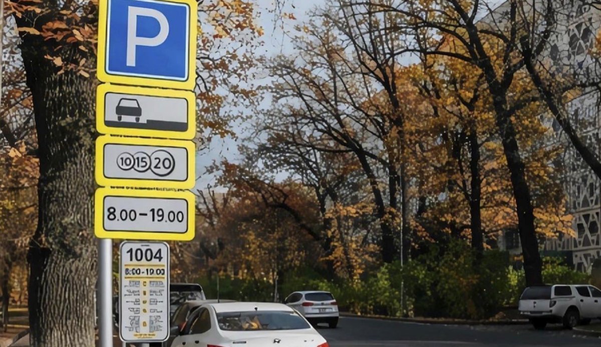 Альтернативу платным парковкам предложили в Алматы