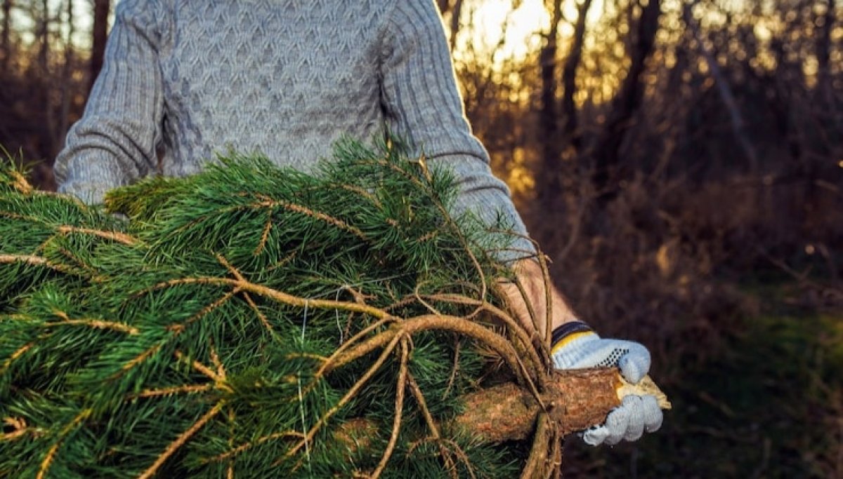 О "новогоднем" штрафе предупредили казахстанцев