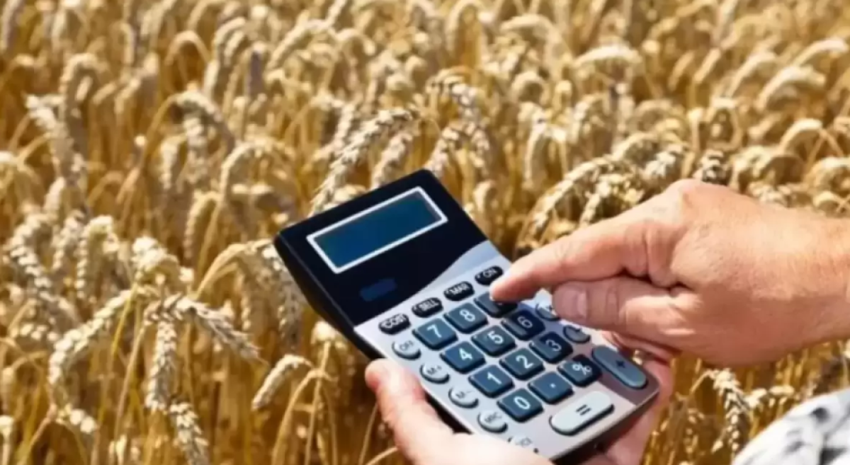 Еще 7 млрд тенге потратит правительство Казахстана на поддержку экспорта зерна