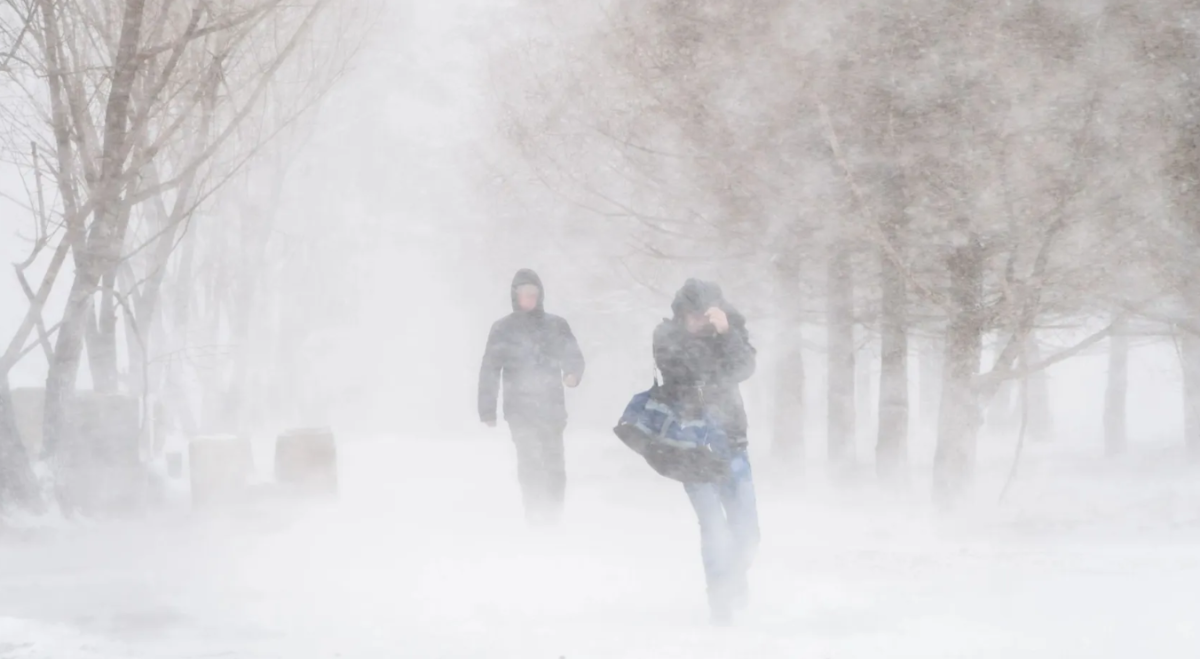 Шторм накроет Казахстан: метели и ветер до 30 м/с