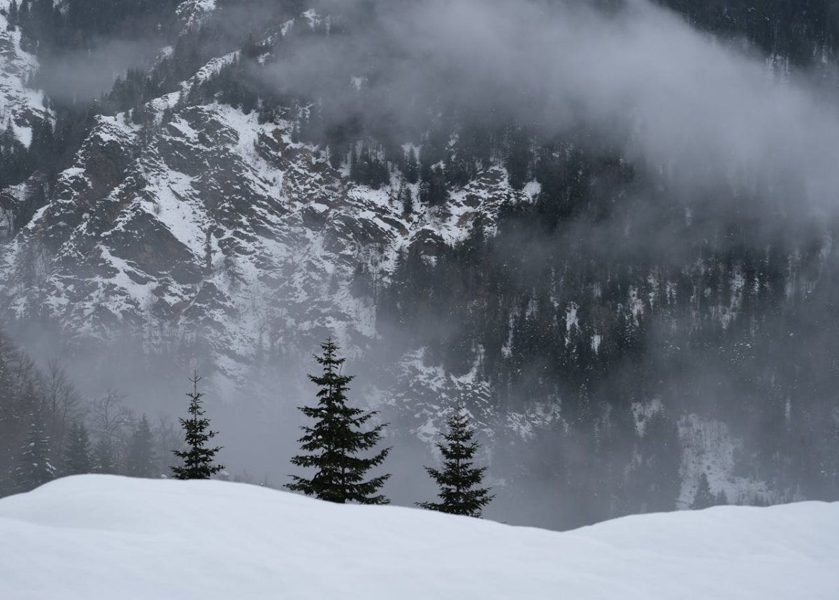 Снег, туман и сильный ветер: какая погода ждёт Казахстан 17 декабря