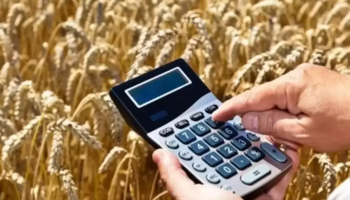 Экспорт казахстанского зерна нового урожая вырос: кто покупает больше всех