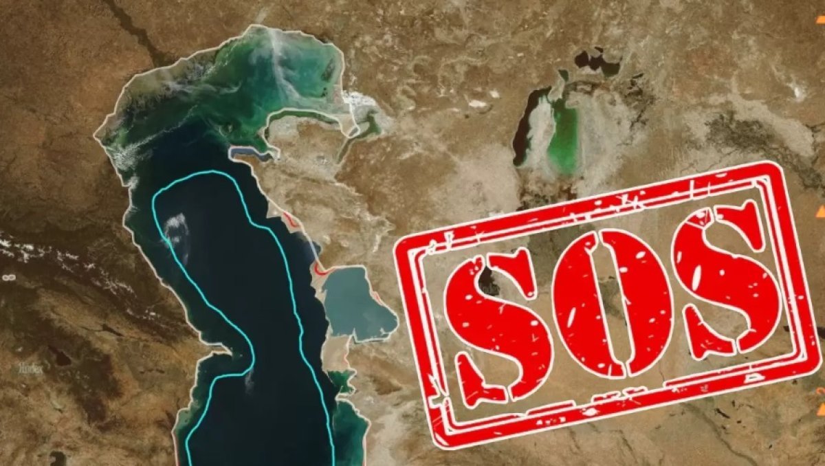 Обмеление Каспия — это не навсегда? Что выяснили учёные