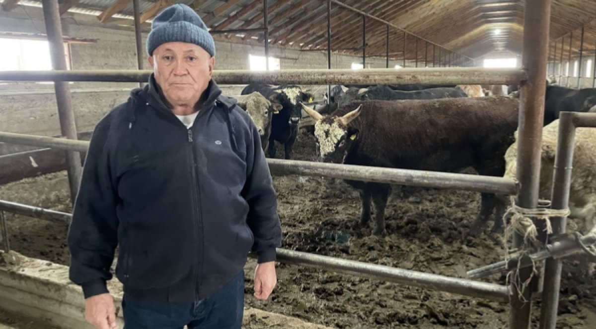 Грозит банкротство: фермеры о тяжёлой ситуации на мясном рынке