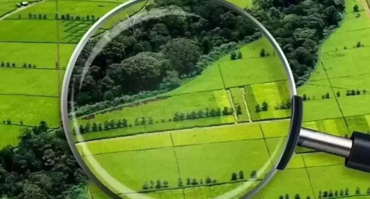 Принудительного изъятия земель опасаются казахстанские аграрии