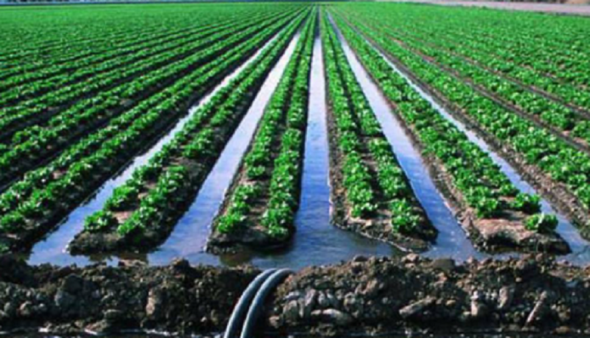 Поставщиков поливной воды оштрафовали почти на 18 млн тенге в Казахстане