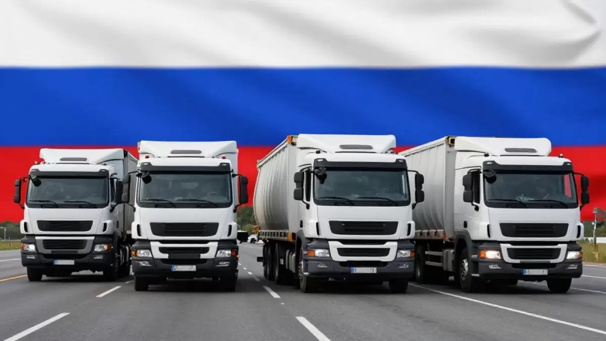 Казахстан стал основным покупателем ещё одного российского продукта