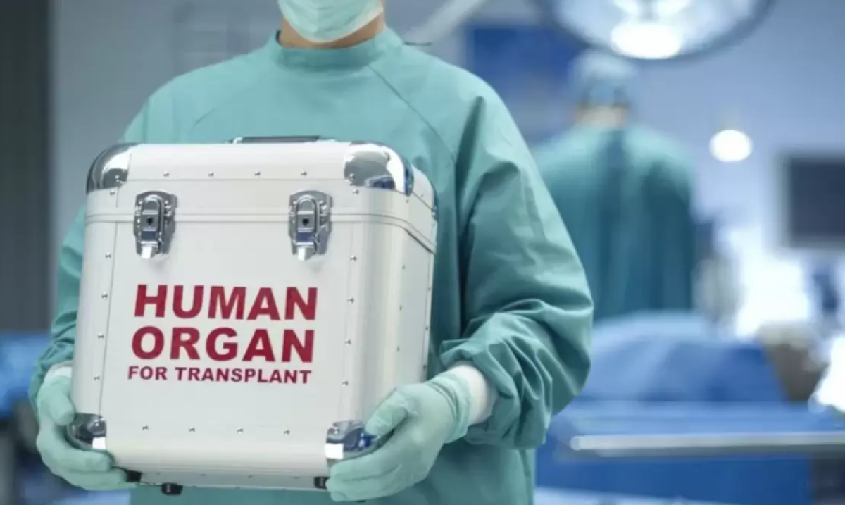 Россиянка пыталась продать свою почку в Павлодаре: суд вынес приговор