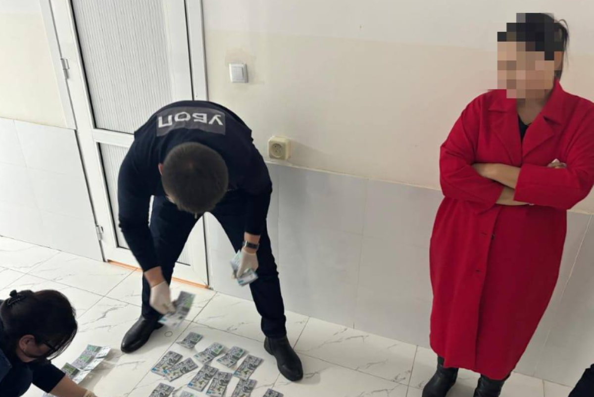 Выдавала себя за активистку: в Казахстане задержали блогера