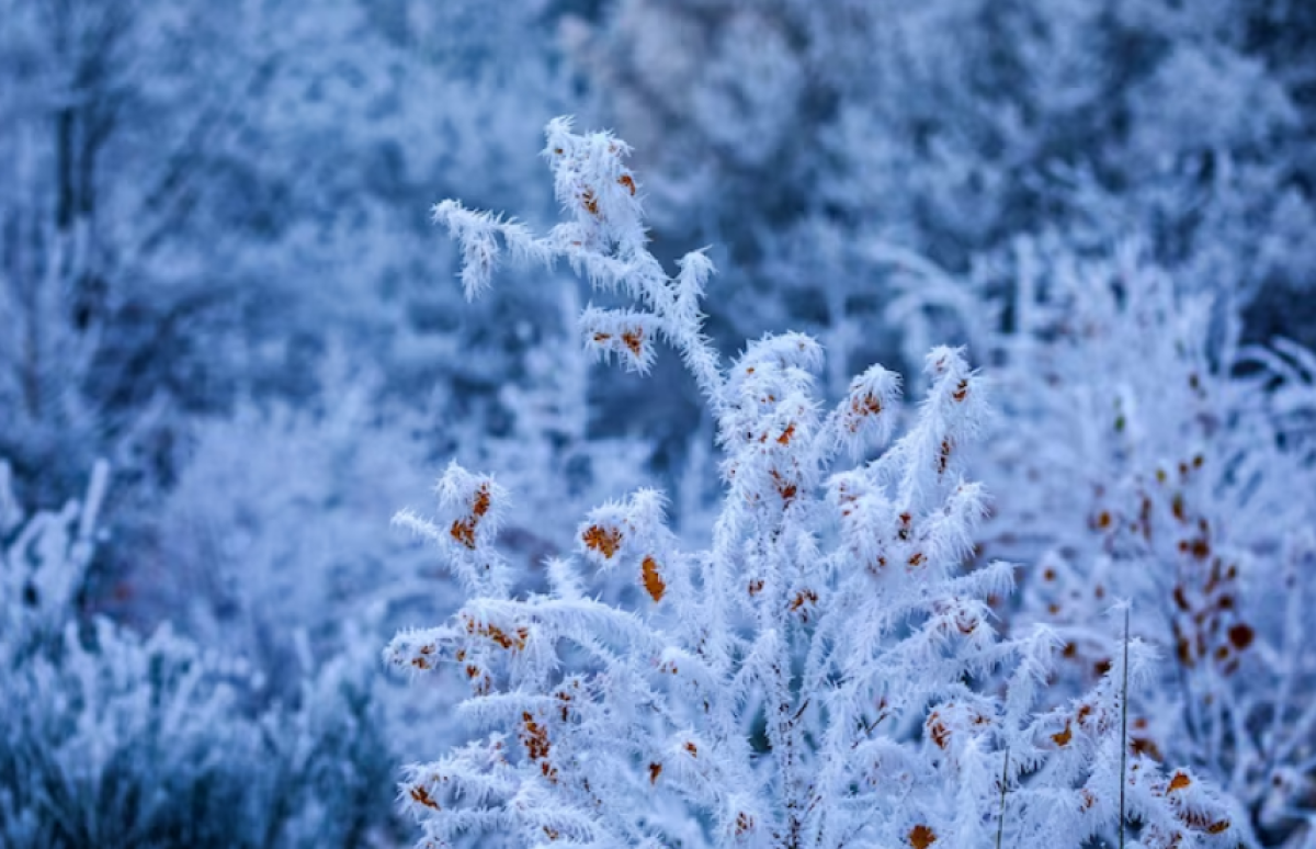 В Казахстане ожидаются сильные морозы