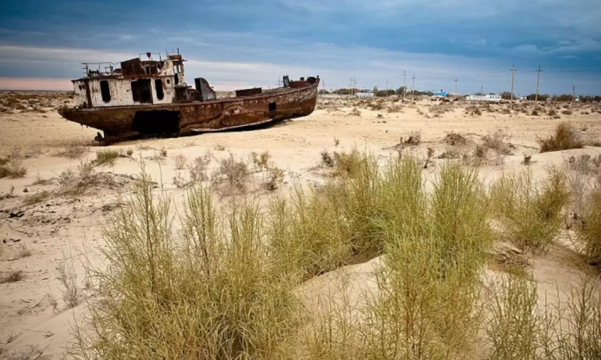 Вода - стратегический ресурс Казахстана: Токаев поднял проблему Аральского моря