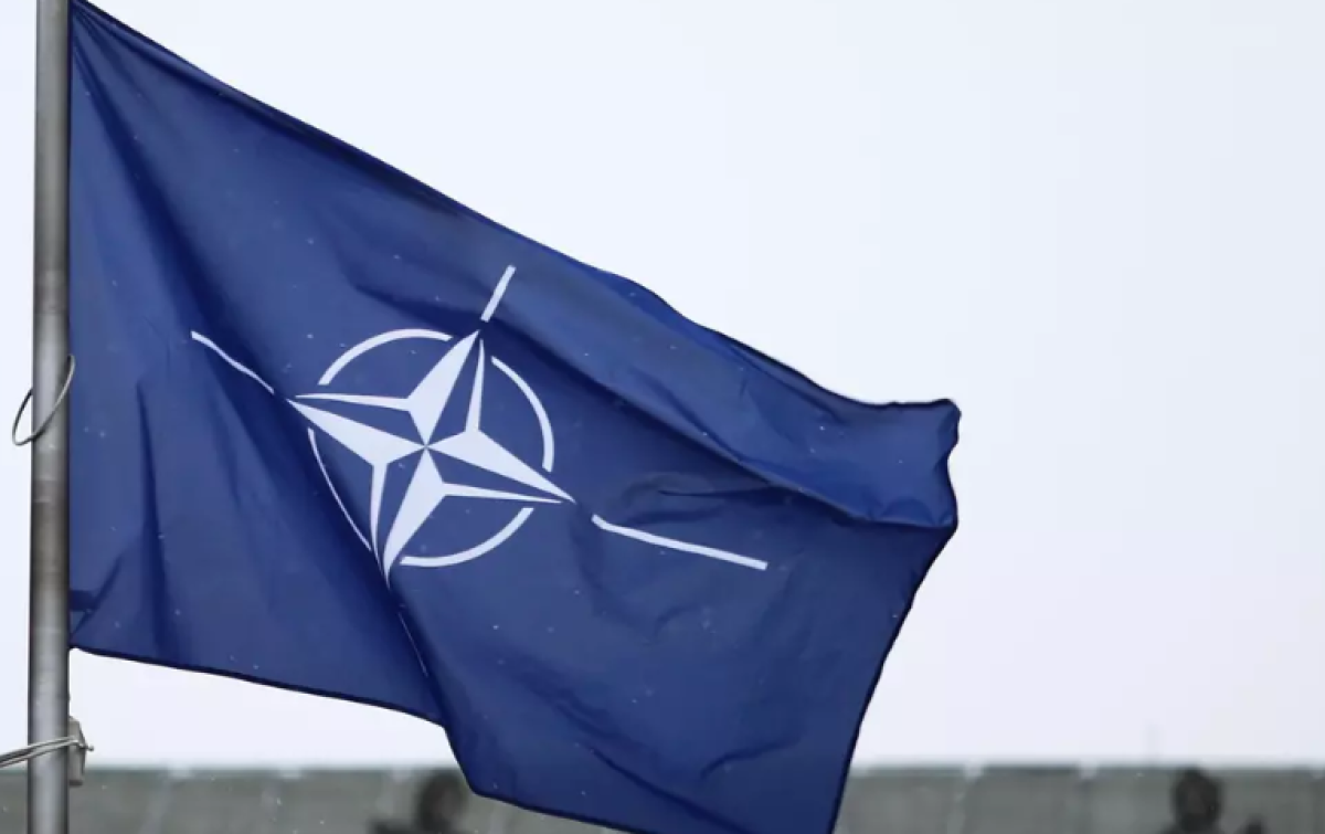 Франция предложила провести учения НАТО в Гренландии