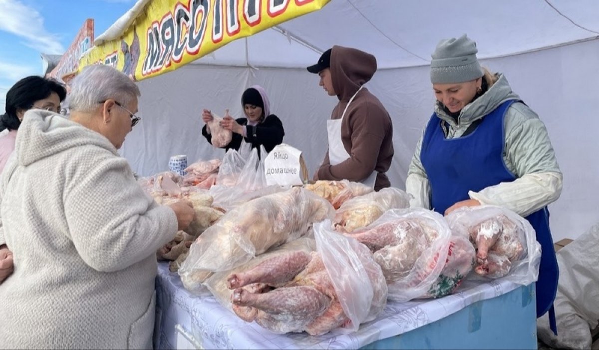 "Фермеров там нет": как акиматы превратили сельхозярмарки в профанацию