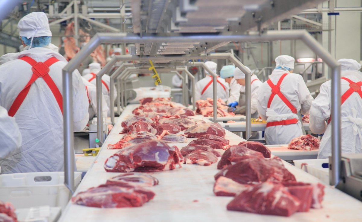 В Казахстане нет ни одного предприятия глубокой переработки мяса — эксперт