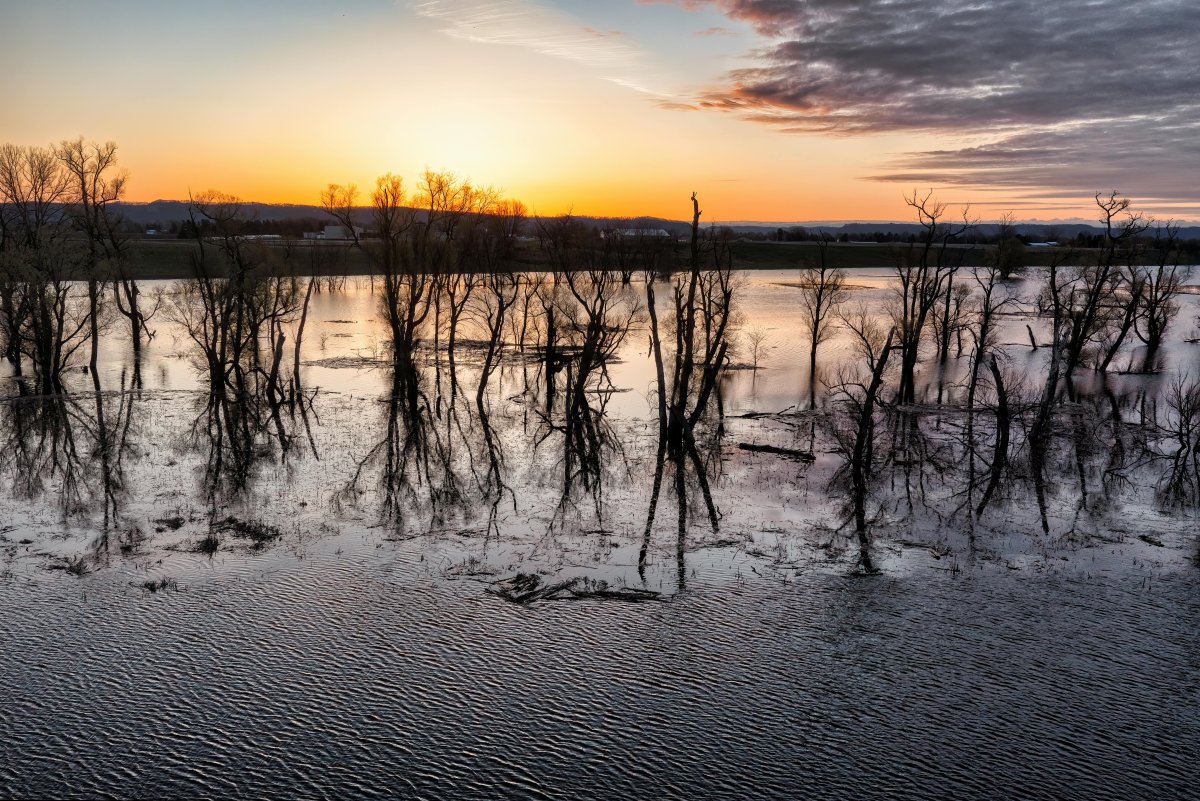 Риск паводков: военнослужащих направили в Жамбылскую область