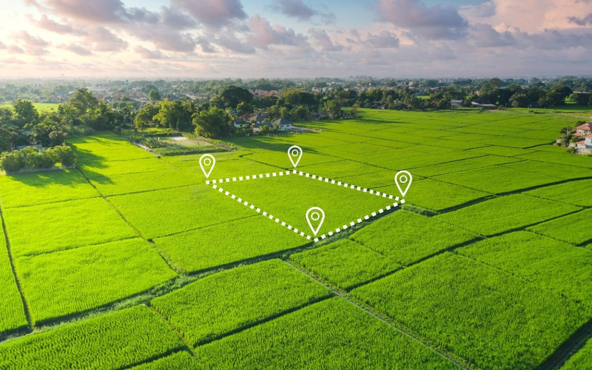 Казахстанцам обещают «бесплатные 25 соток»: способ получения земли объяснил акимат