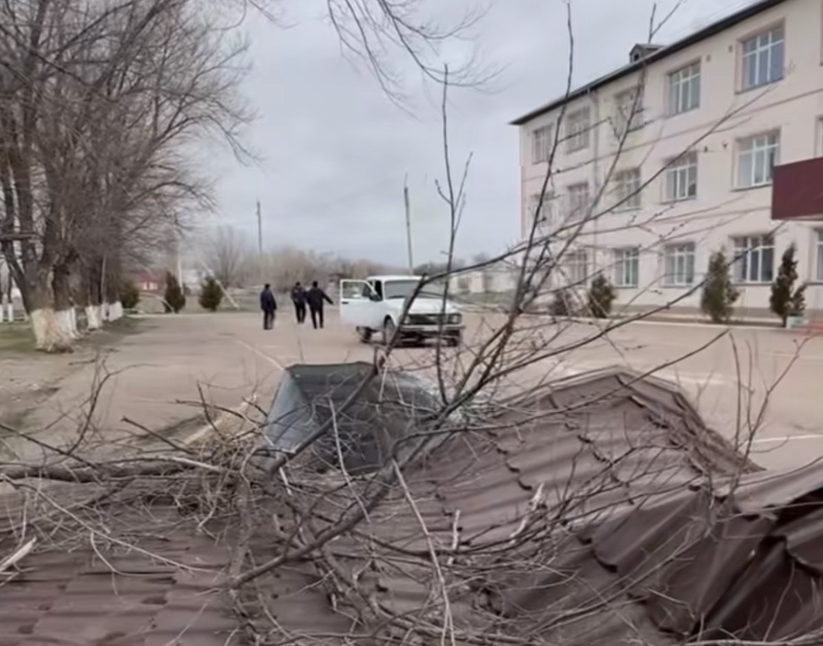 В Жамбылской области объявили ЧС из-за ураганного ветра