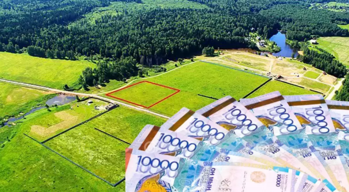 Тысячи га сельхозземель вернули государству в Туркестанской области